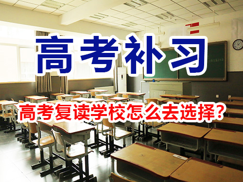 网站文章-1.jpg